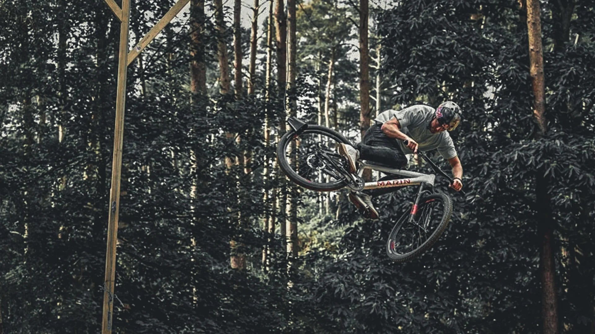 DIRT
