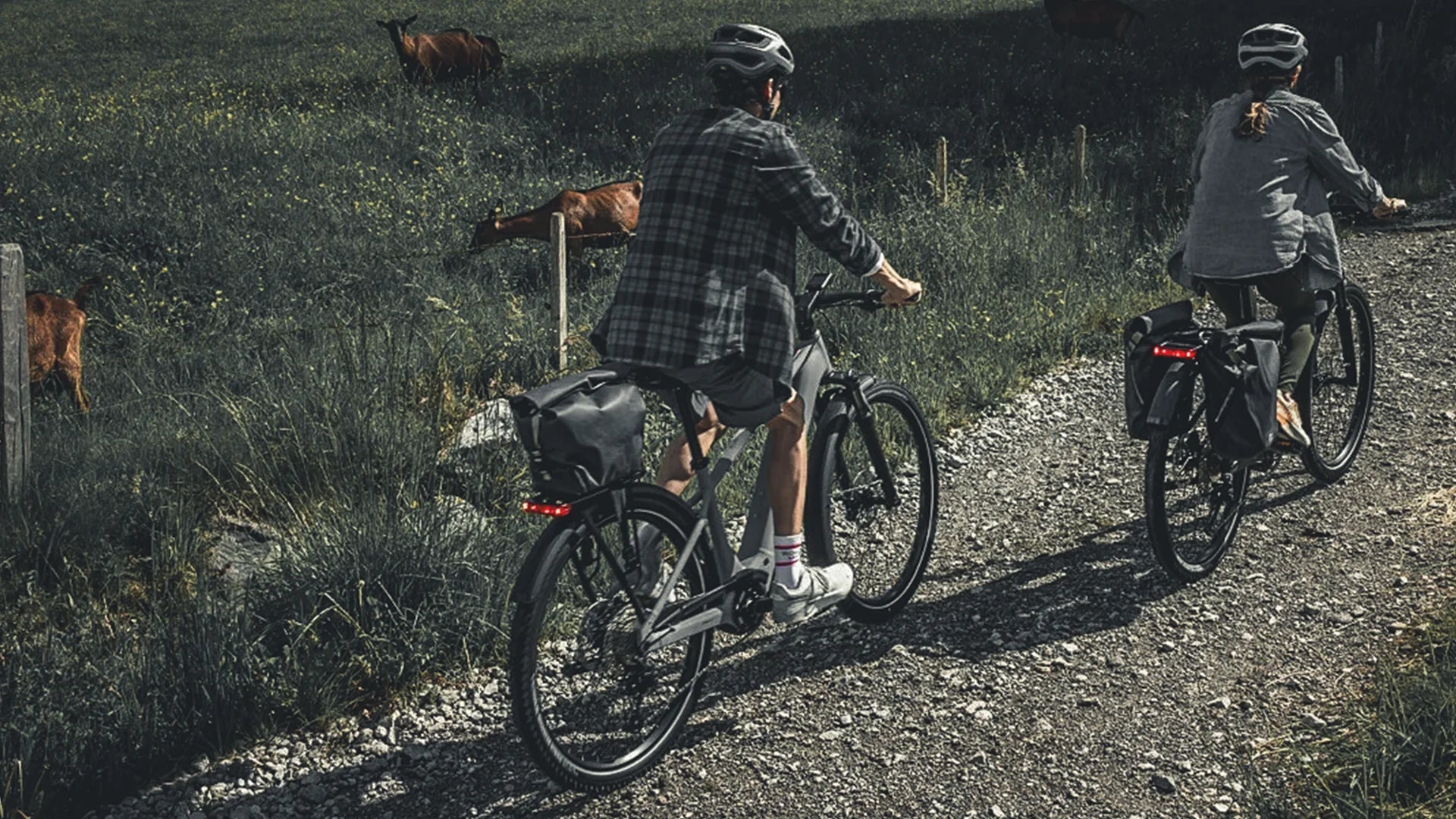 NOS VTC ÉLECTRIQUES