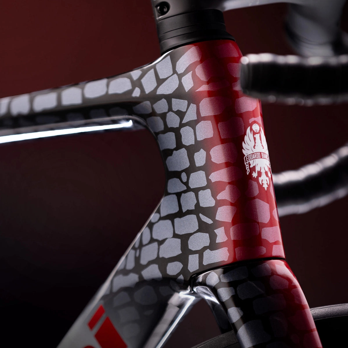VÉLO DE ROUTE BIANCHI INFINITO PRO PARIS-ROUBAIX LIMITED EDITION 2026