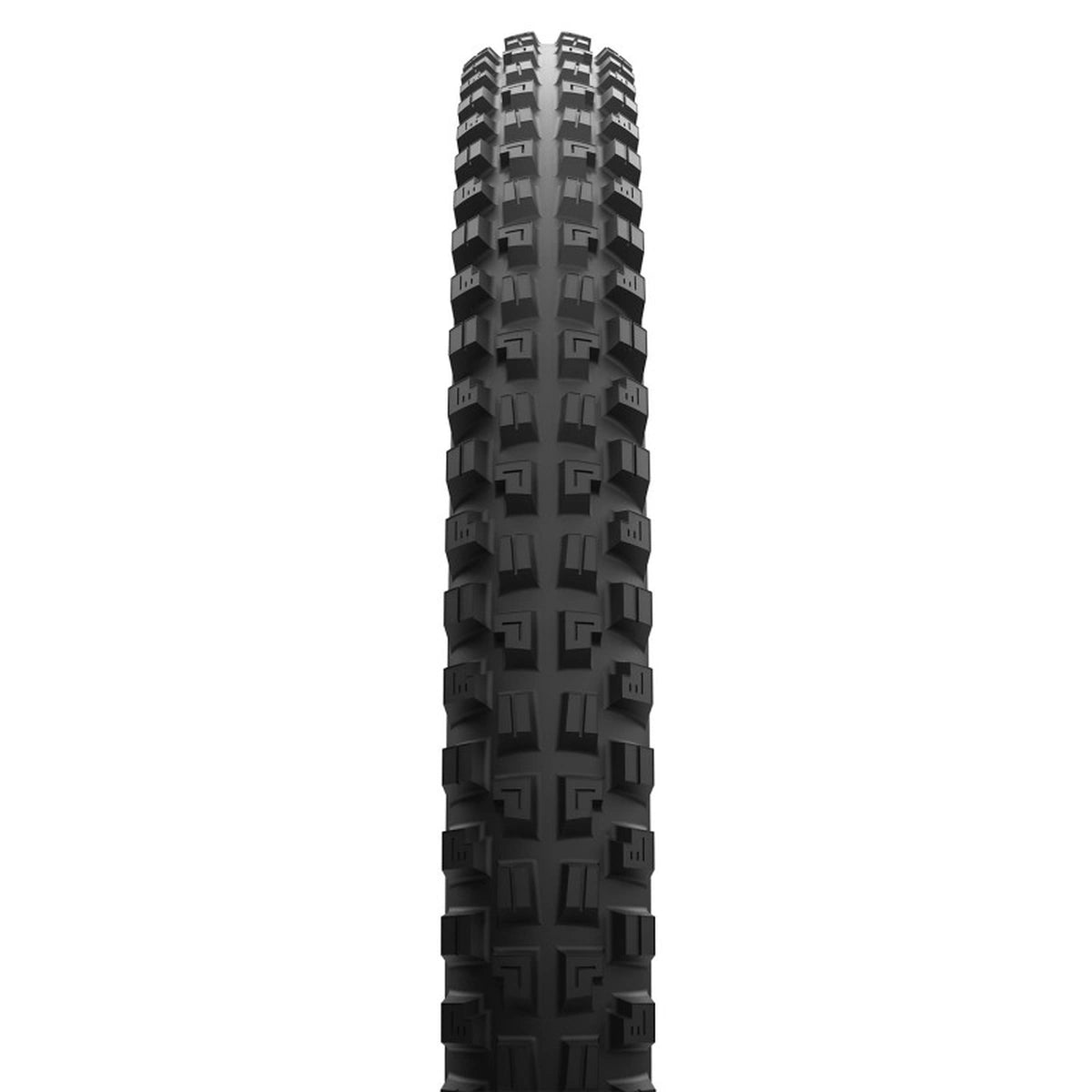 PNEU VTT MAXXIS MINION DHX